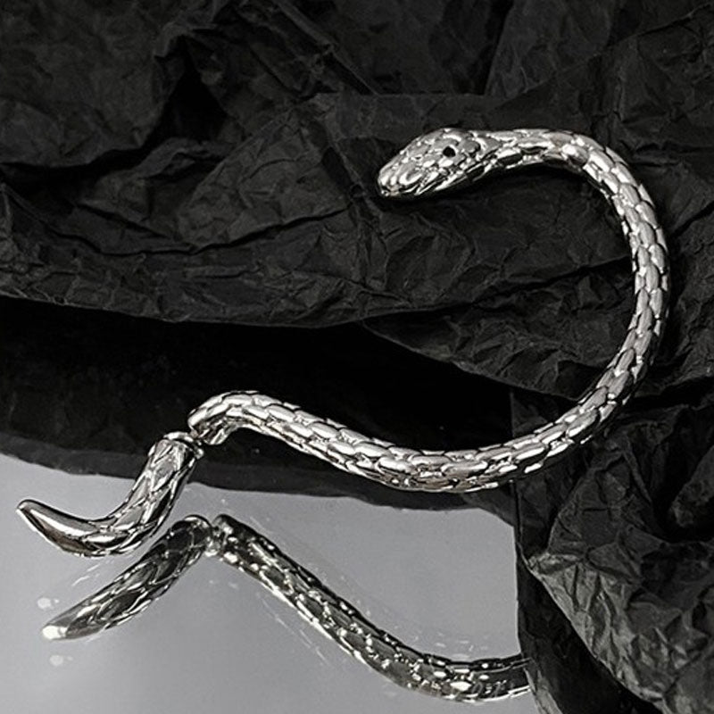 ๐ Serpent Wrap Earring